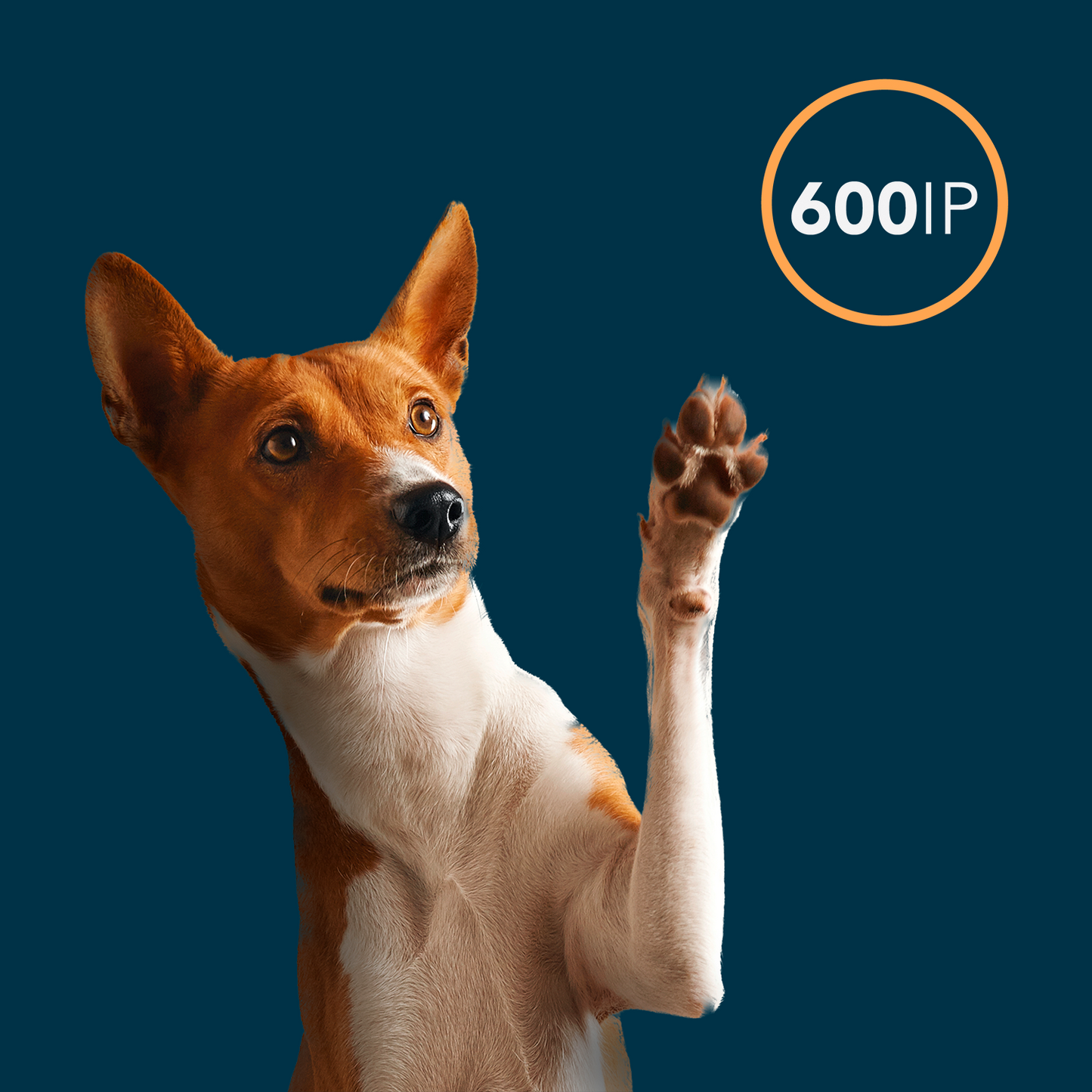 Oxxy Vet Multi Care Pets 5x5ml