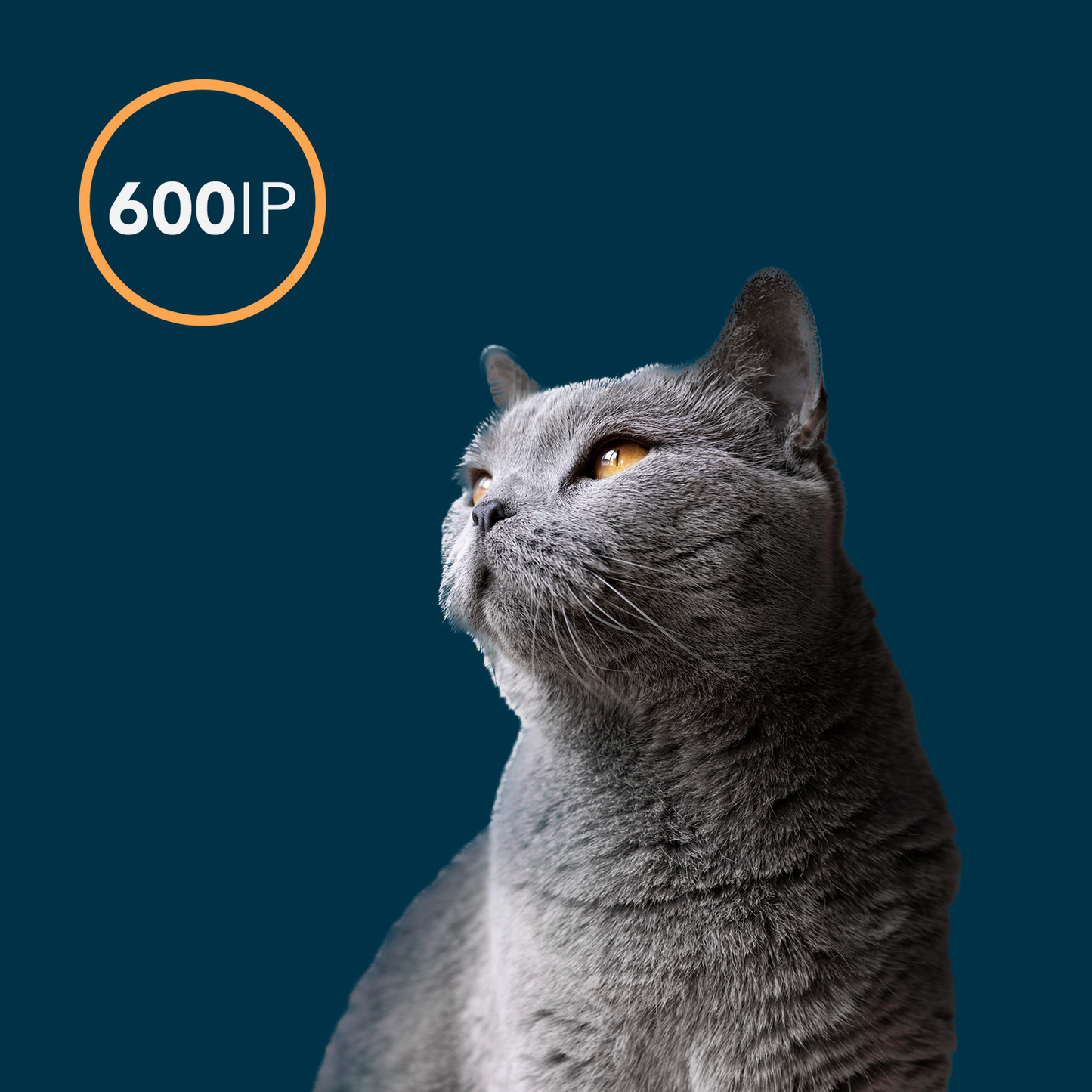 Oxxy Vet Soap Pets 100 gr