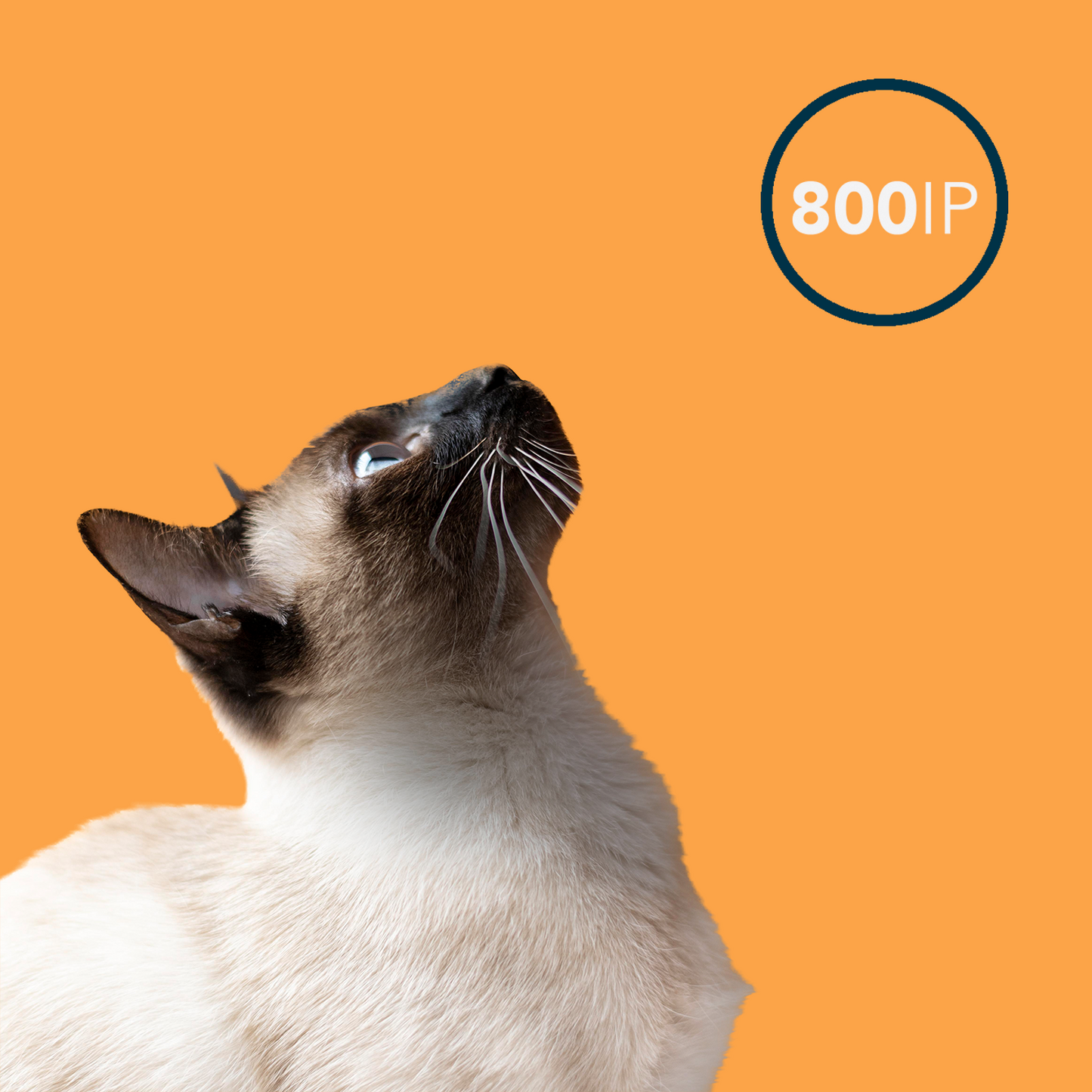 Oxxy Oil Care Pets 100ml