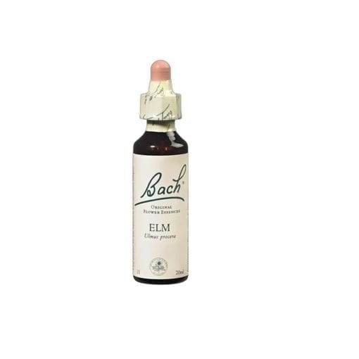 Elm