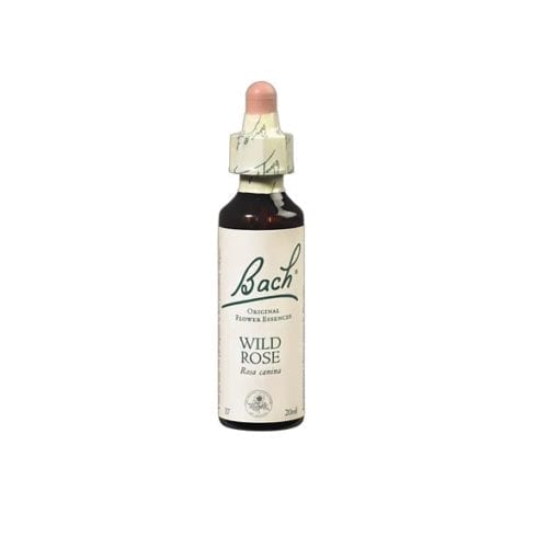 Wild Rose